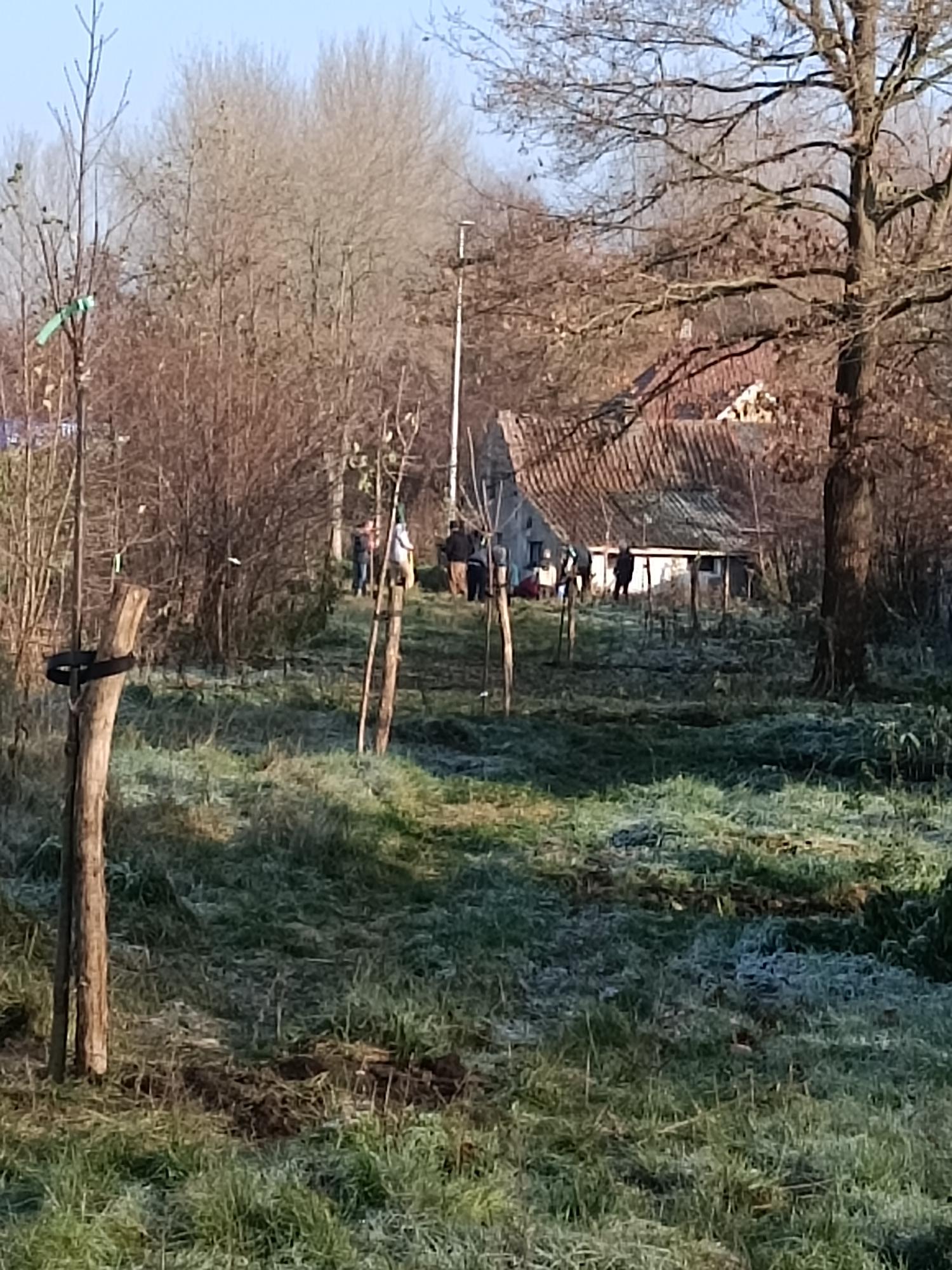Foto met geplante bomen